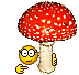 :muhomor: