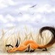Foxy