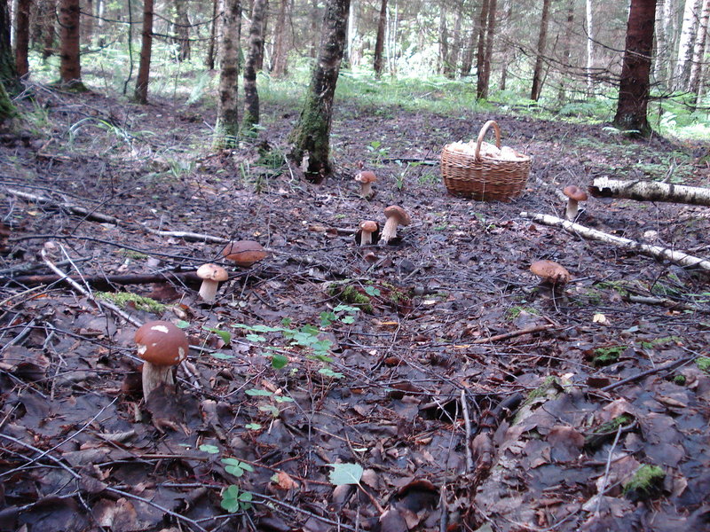 DSC09477.JPG