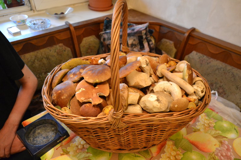 DSC_0865.JPG