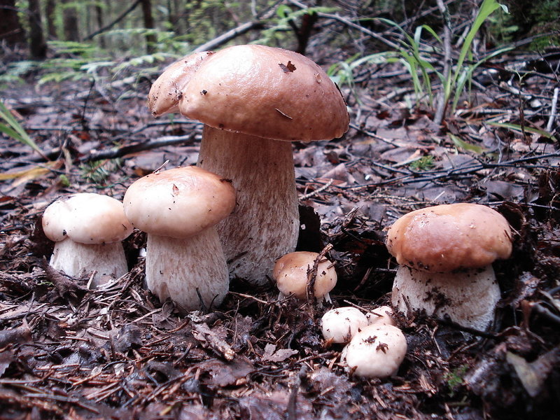 DSC09476.JPG