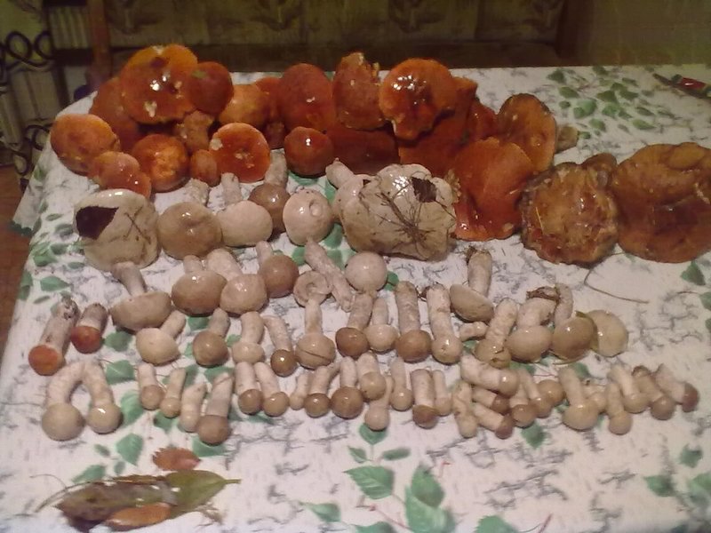 20110901191.jpg