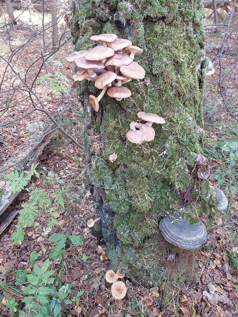 20230922-141718.jpg