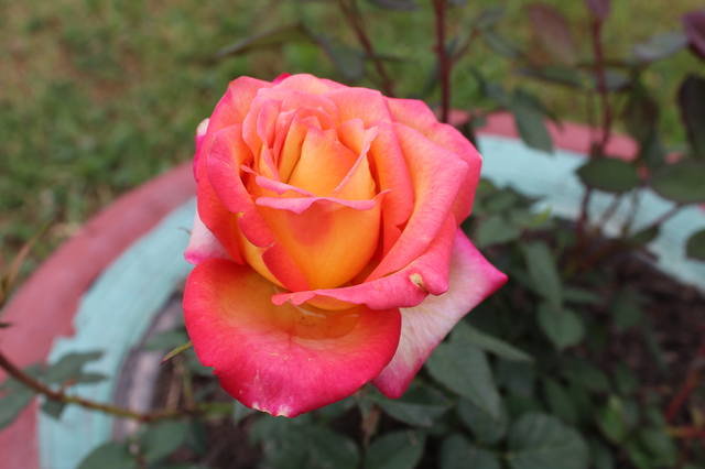 22345894_m.jpg