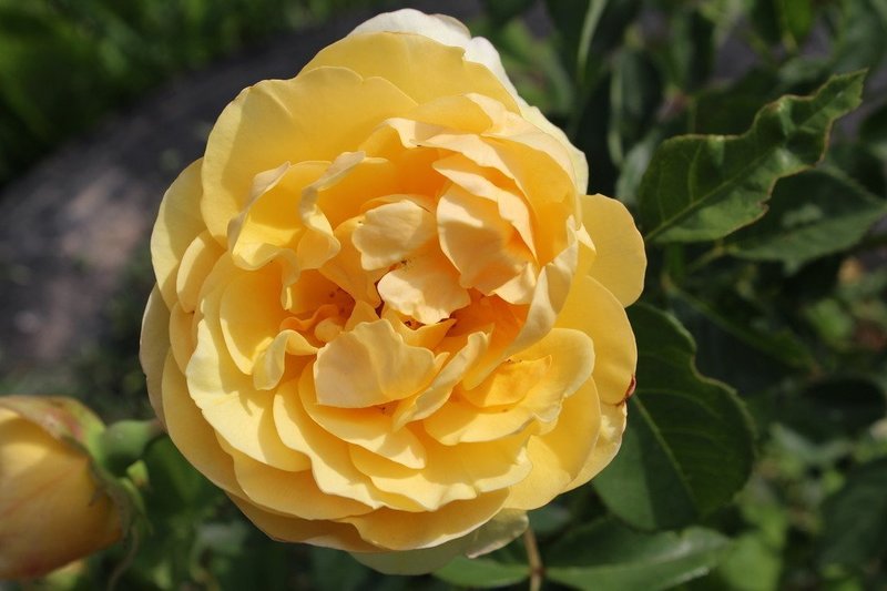 d092d0e66f.jpg