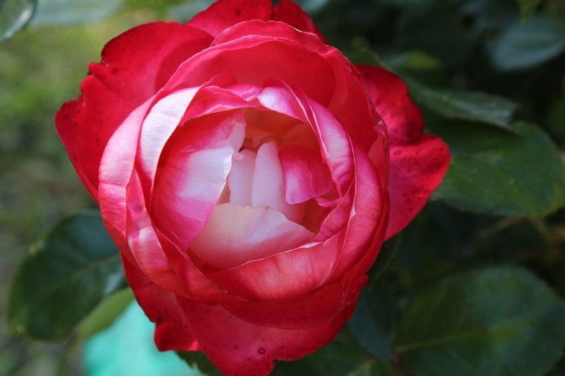 d1b6df8195.jpg