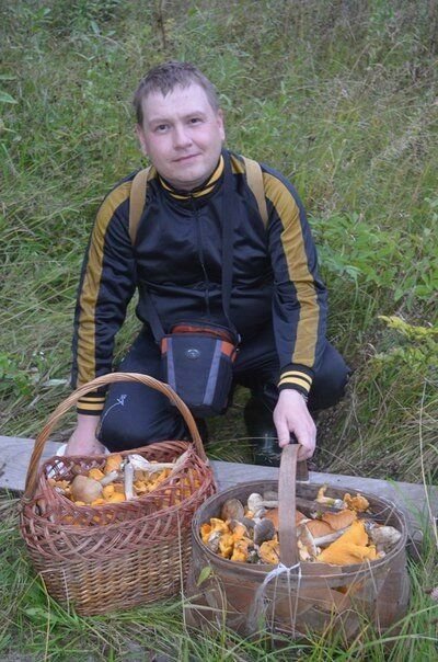 grib-01.jpg