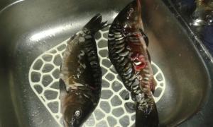 20160720_145522.jpg