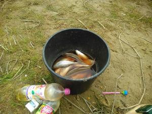 IMG_20170421_141739.jpg