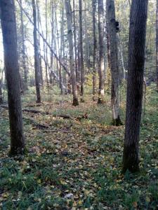 IMG_20181008_WA0002.jpg