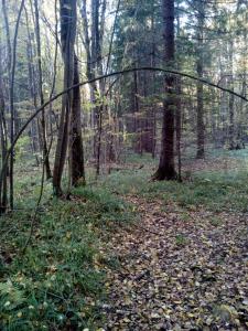 IMG_20181008_WA0003.jpg